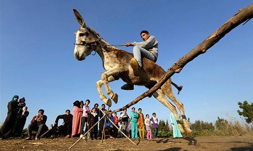 فردی خاص و تبدیل پیست اسب سواری به الاغ سواری!